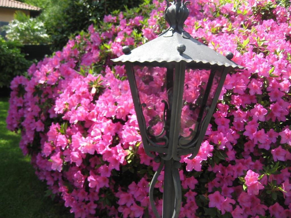 Villa Margherita Lake Maggiore エクステリア 写真